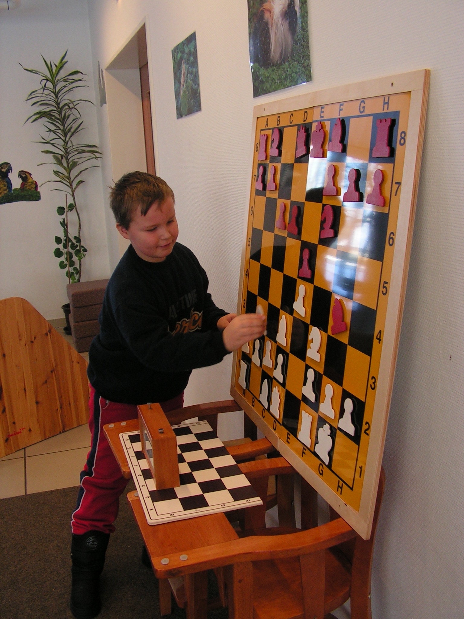 Vorschau